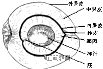 www.xiangpi.com