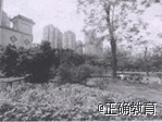 www.xiangpi.com