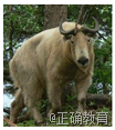 www.xiangpi.com