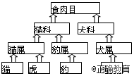 右图是食肉目部分动物的分类图解,下列说法不正确的是( )a.