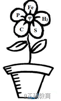 www.xiangpi.com