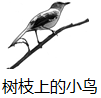 www.xiangpi.com