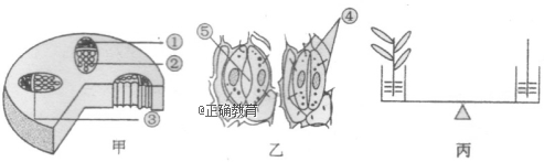 www.xiangpi.com