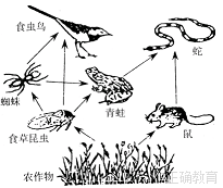 www.xiangpi.com