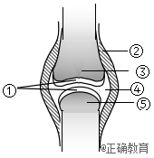 www.xiangpi.com