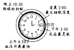 www.xiangpi.com
