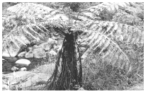 www.xiangpi.com