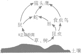 www.xiangpi.com