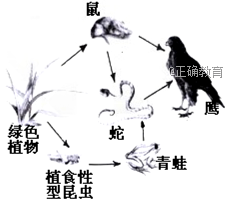 www.xiangpi.com