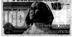 www.xiangpi.com