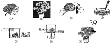 www.xiangpi.com