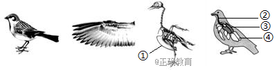 www.xiangpi.com