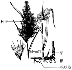 www.xiangpi.com