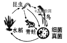 www.xiangpi.com