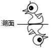 www.xiangpi.com