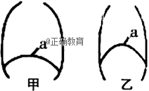www.xiangpi.com