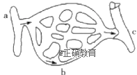 www.xiangpi.com