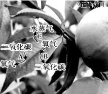 www.xiangpi.com