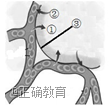 www.xiangpi.com