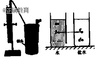 www.xiangpi.com