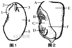 www.xiangpi.com
