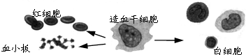 www.xiangpi.com