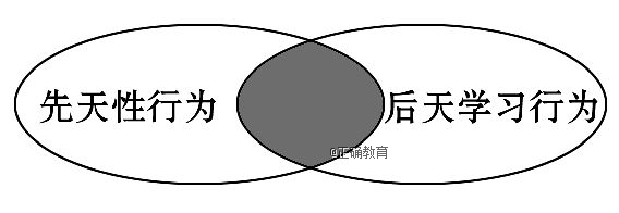 www.xiangpi.com