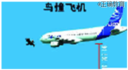 www.xiangpi.com