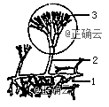 www.xiangpi.com