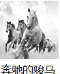 www.xiangpi.com