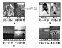 www.xiangpi.com
