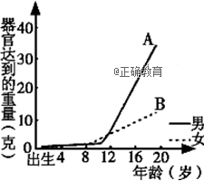 www.xiangpi.com