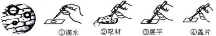 www.xiangpi.com