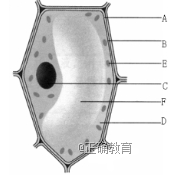 www.xiangpi.com