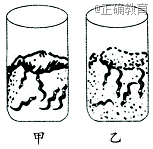 www.xiangpi.com