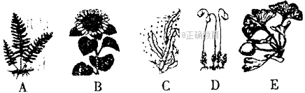 www.xiangpi.com
