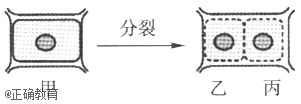 www.xiangpi.com