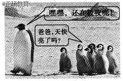 www.xiangpi.com