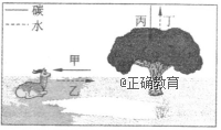 www.xiangpi.com