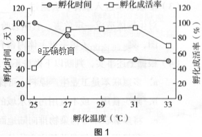 www.xiangpi.com