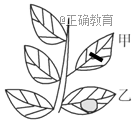 www.xiangpi.com