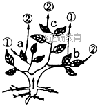 www.xiangpi.com