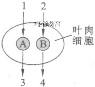 www.xiangpi.com