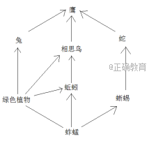 www.xiangpi.com