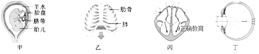 www.xiangpi.com