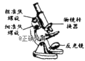 www.xiangpi.com