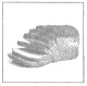 www.xiangpi.com