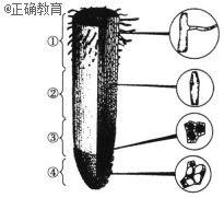 www.xiangpi.com