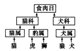 www.xiangpi.com
