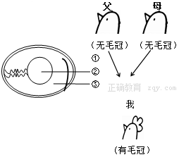 www.xiangpi.com
